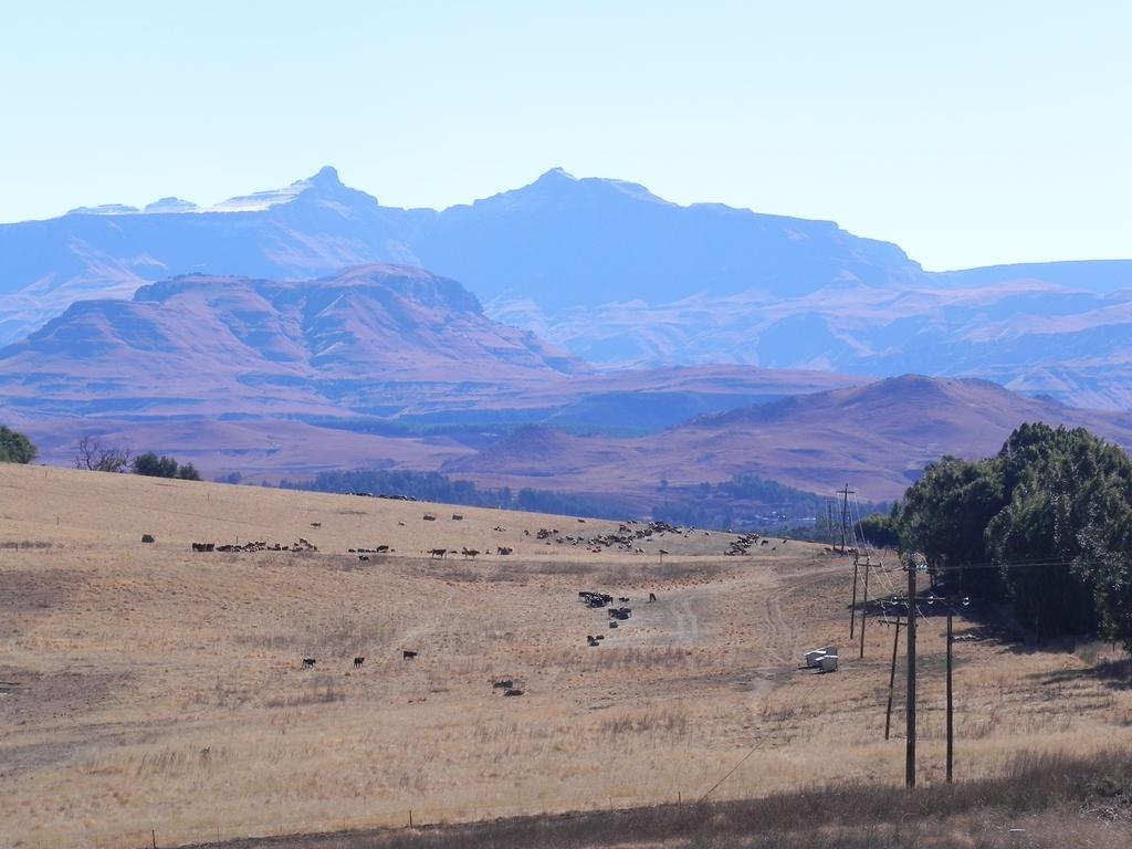 J&B Lodge Underberg Bagian luar foto